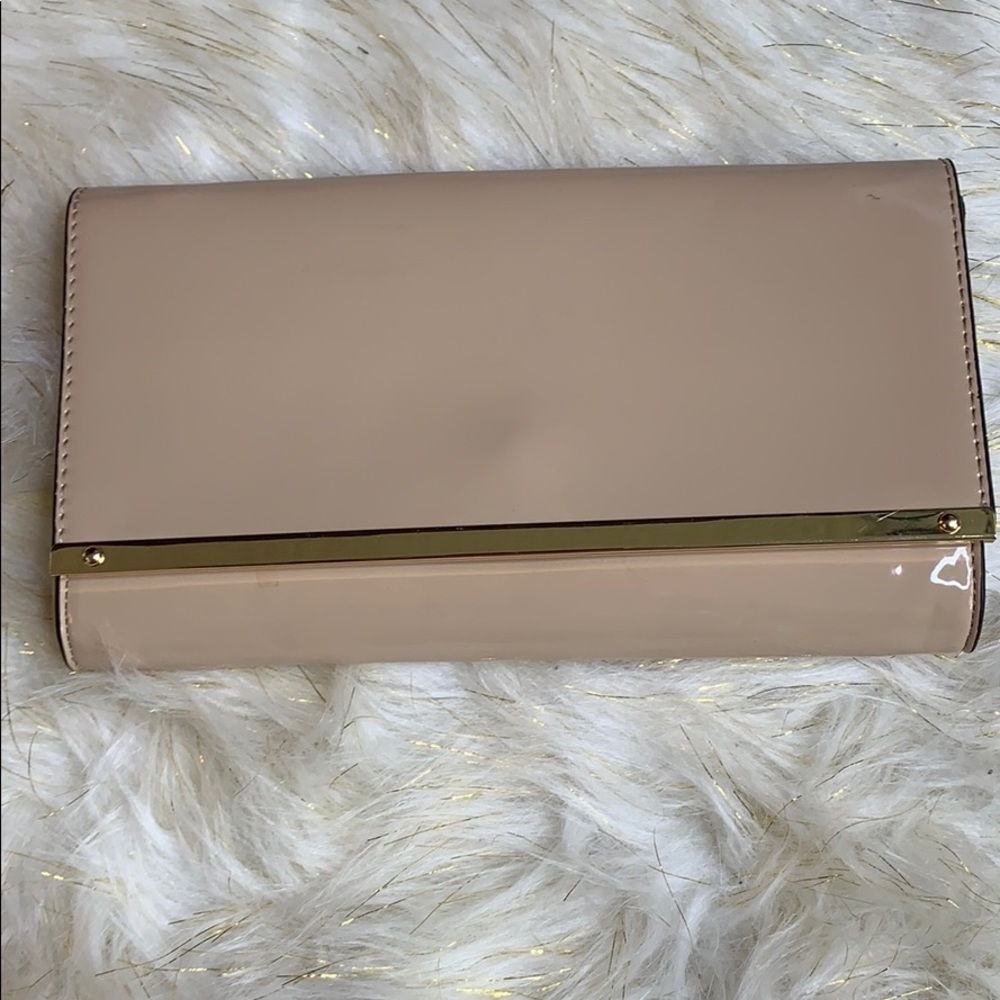 Aldo Clutch